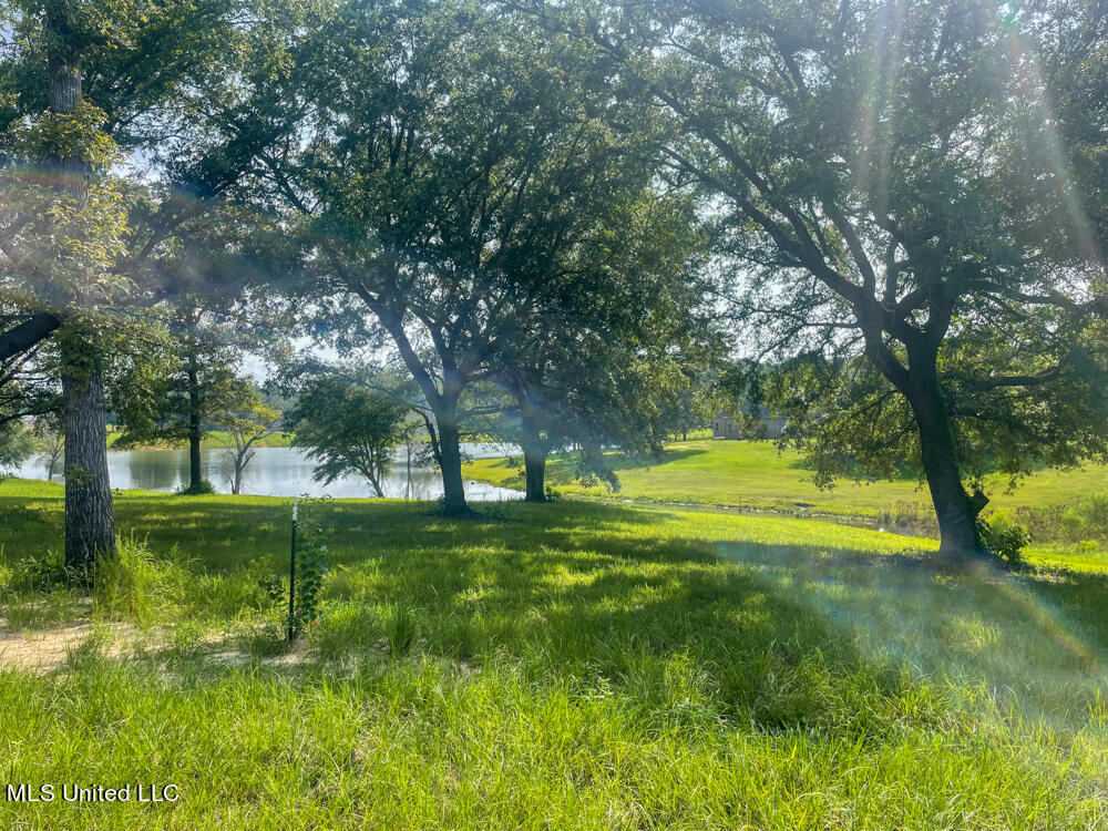 Lot 14 Gracie's Way Property Photo 16