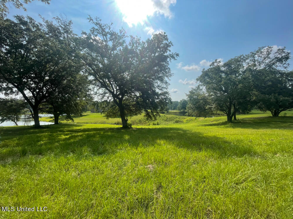Lot 14 Gracie's Way Property Photo 17