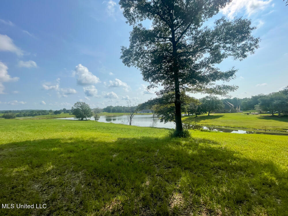Lot 14 Gracie's Way Property Photo 22