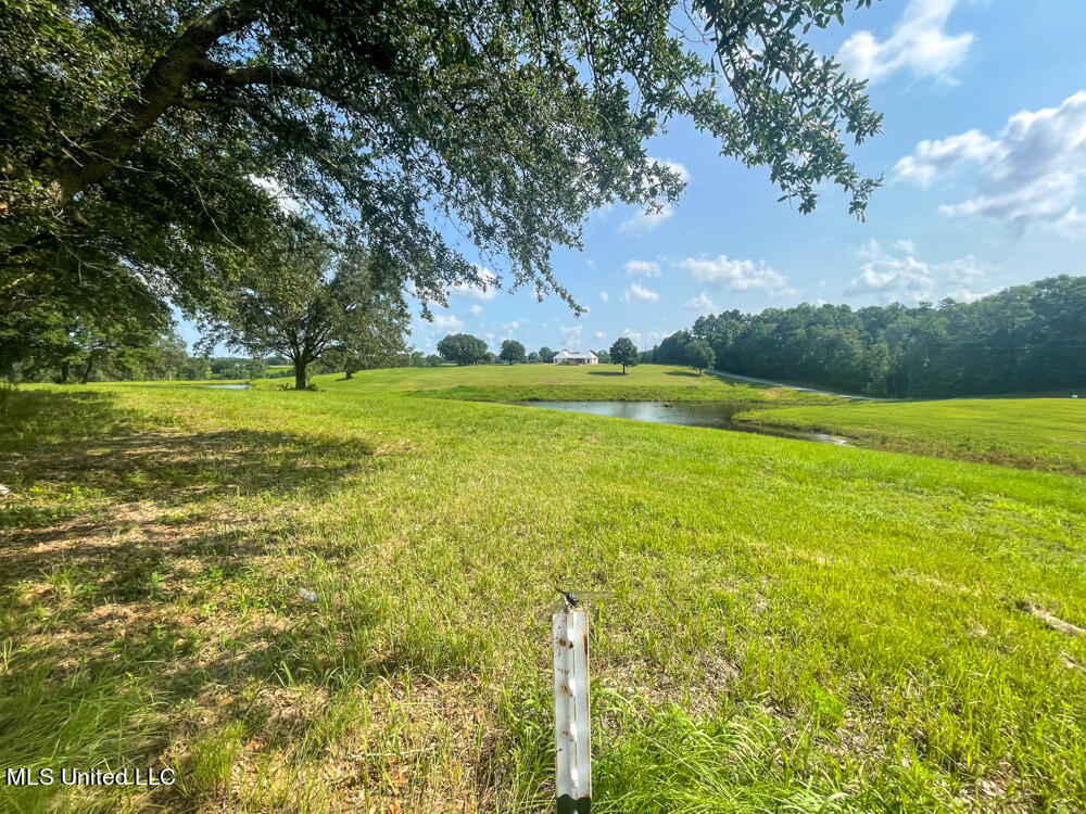 Lot 14 Gracie's Way Property Photo 40