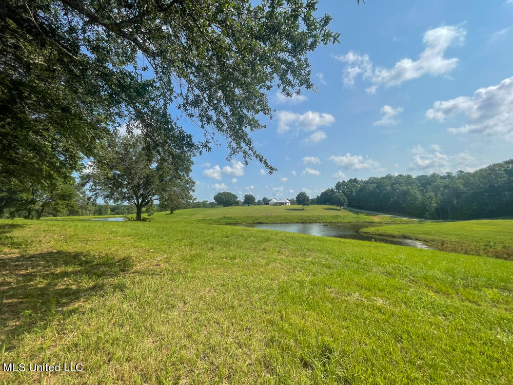 Lot 14 Gracie's Way Property Photo 42