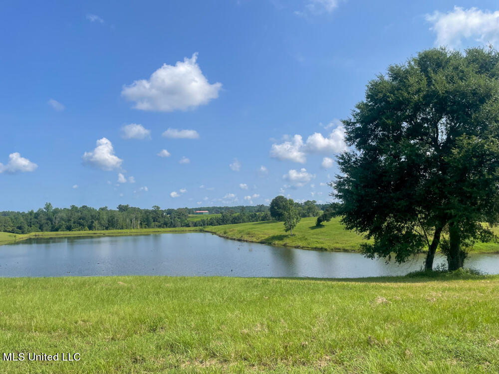 Lot 14 Gracie's Way Property Photo 44