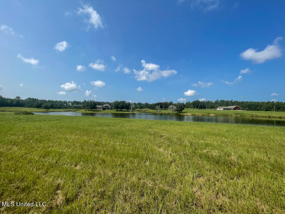 Lot 14 Gracie's Way Property Photo 48