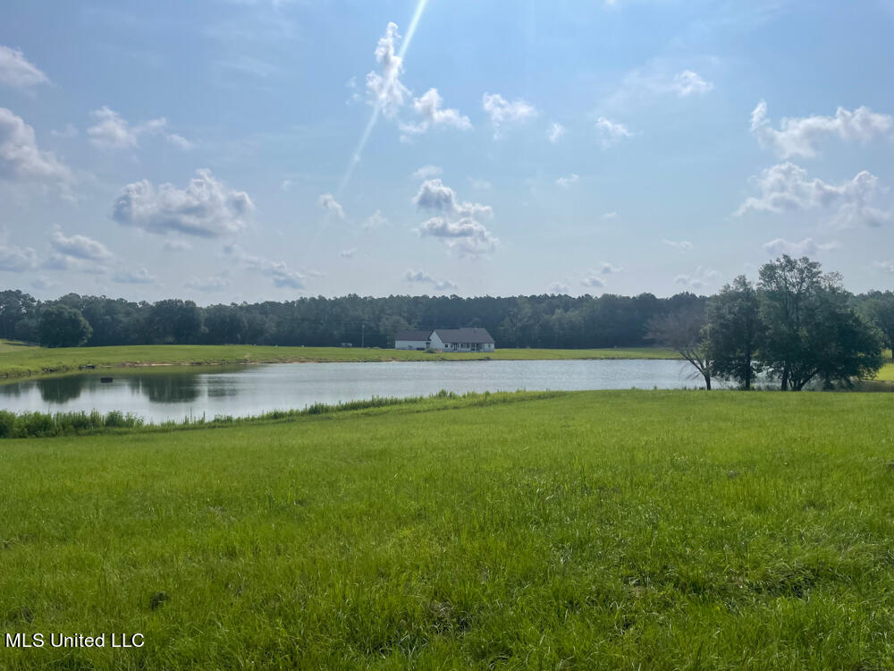 Lot 15 Gracie's Way Property Photo 27