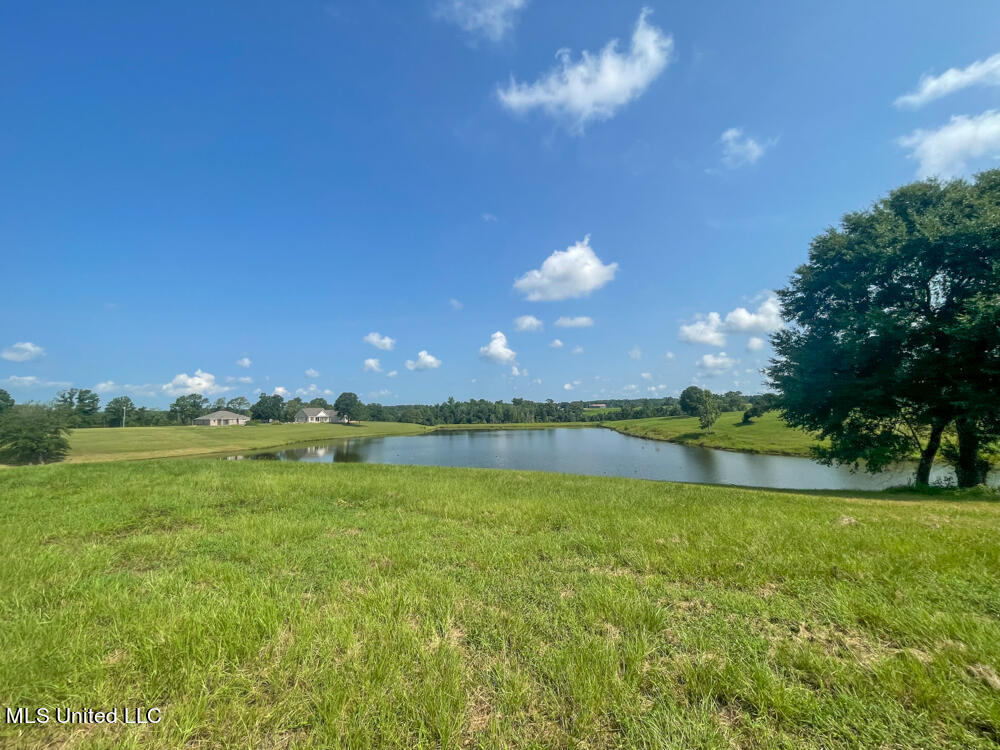 Lot 15 Gracie's Way Property Photo 45