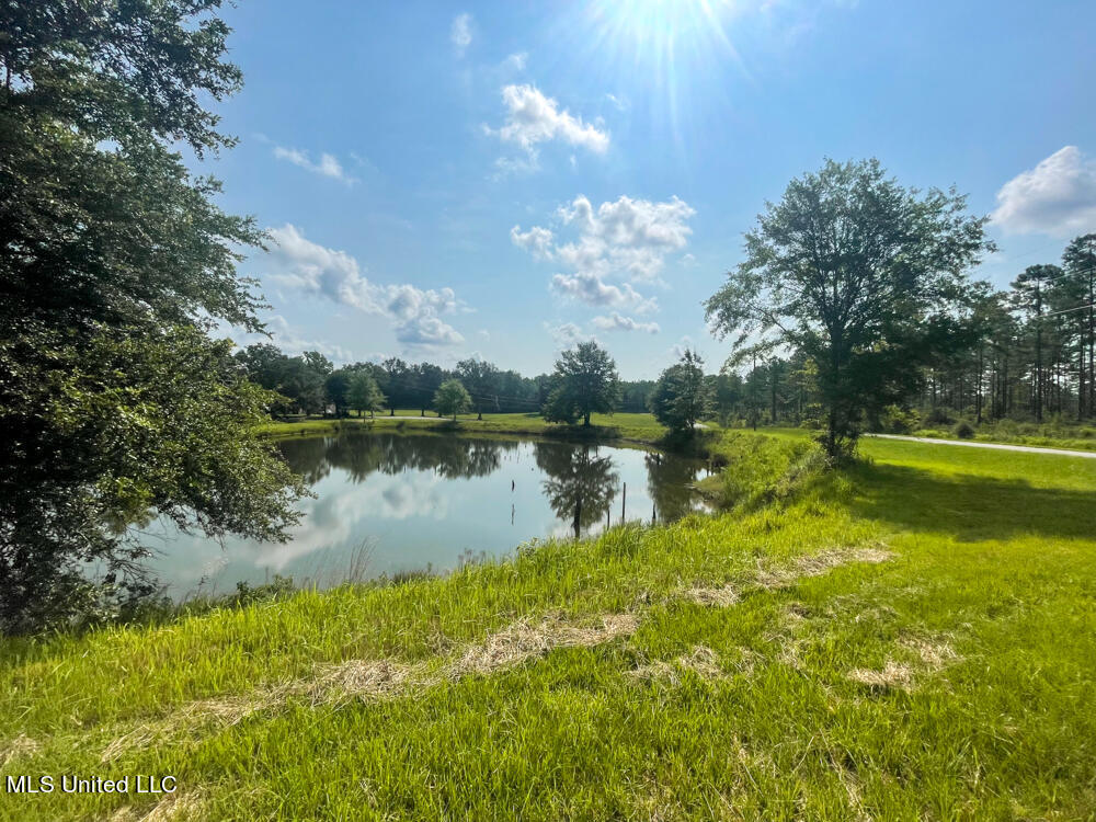 Lot 16 Gracie's Way Property Photo 35