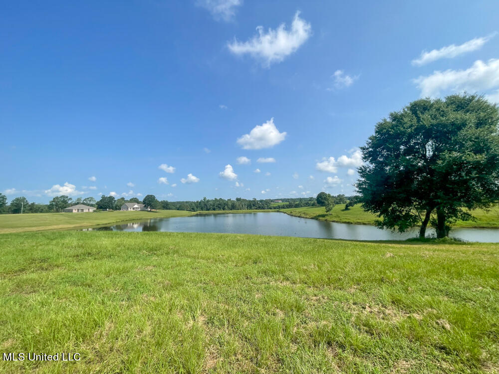 Lot 16 Gracie's Way Property Photo 43
