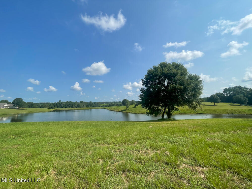 Lot 16 Gracie's Way Property Photo 46