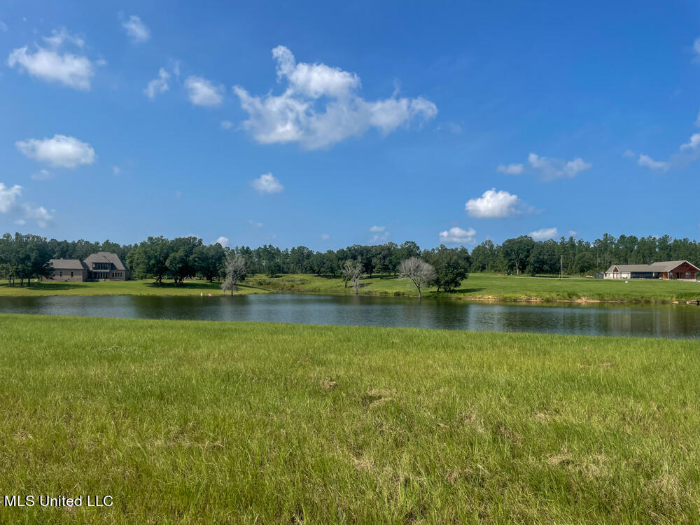 Lot 16 Gracie's Way Property Photo 49