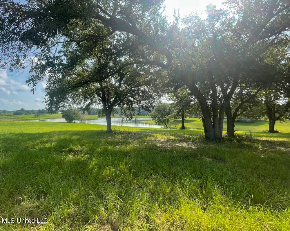 Lot 11 Conner Stringer Drive Property Photo 20