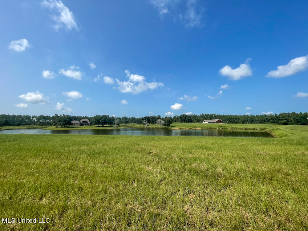 Lot 11 Conner Stringer Drive Property Photo 52