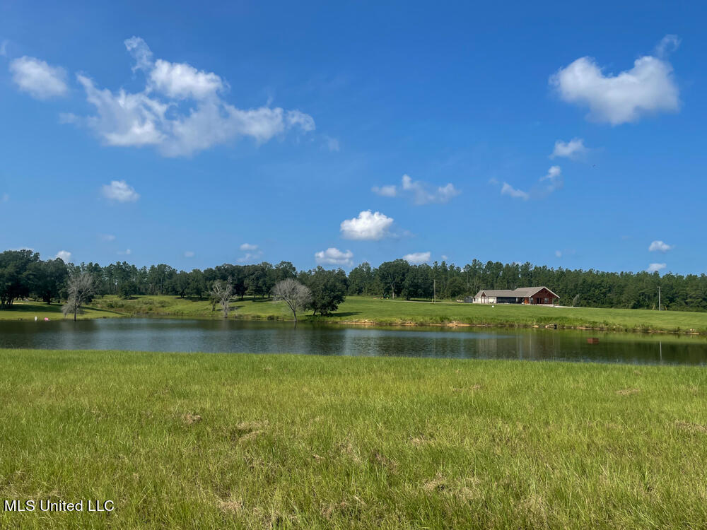 Lot 11 Conner Stringer Drive Property Photo 53