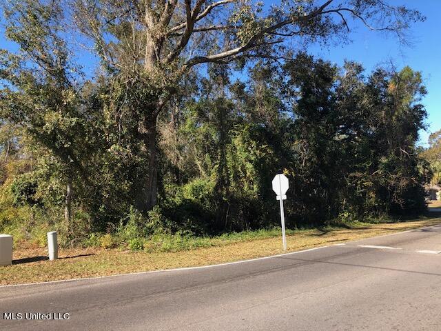 660 Mauna Loa Drive Property Photo 4