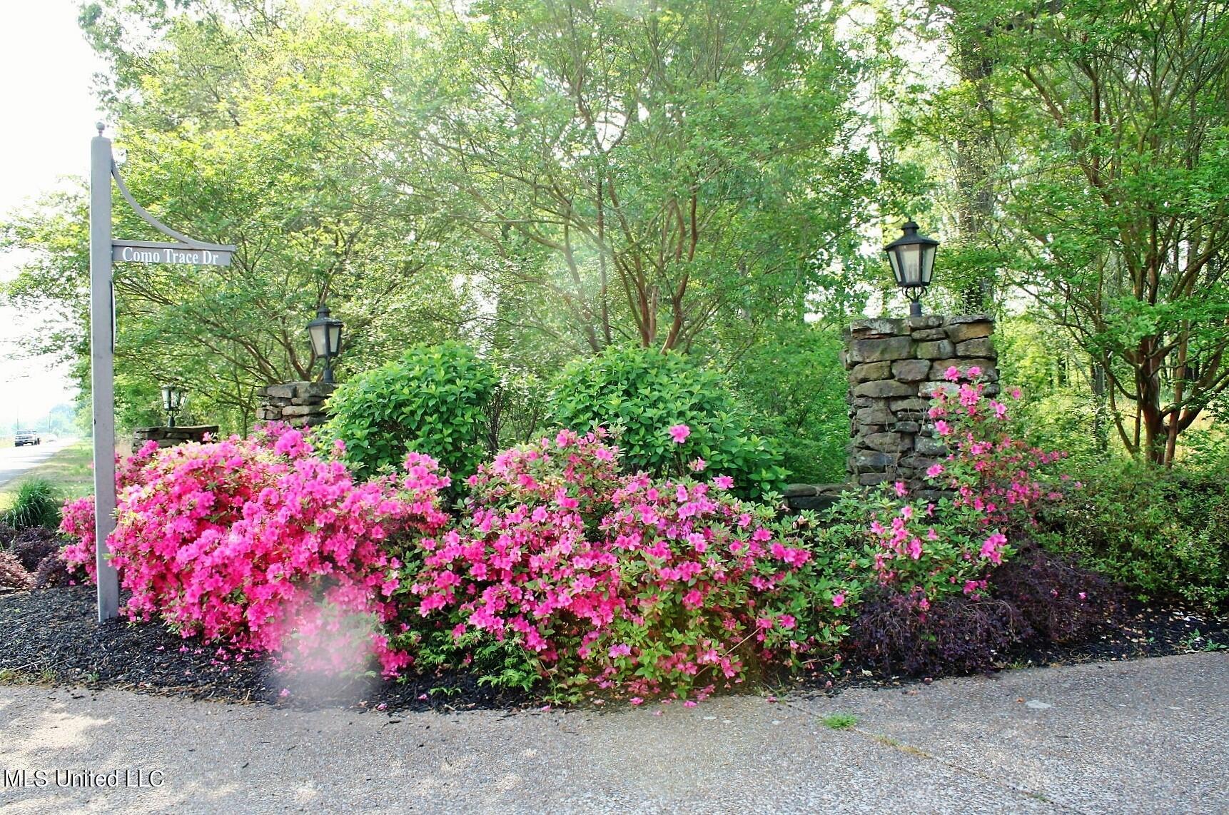 2 Como Trace Drive Property Photo 6
