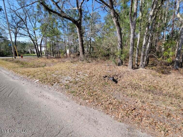 Lot 11-12 Yukon Street Property Photo 6