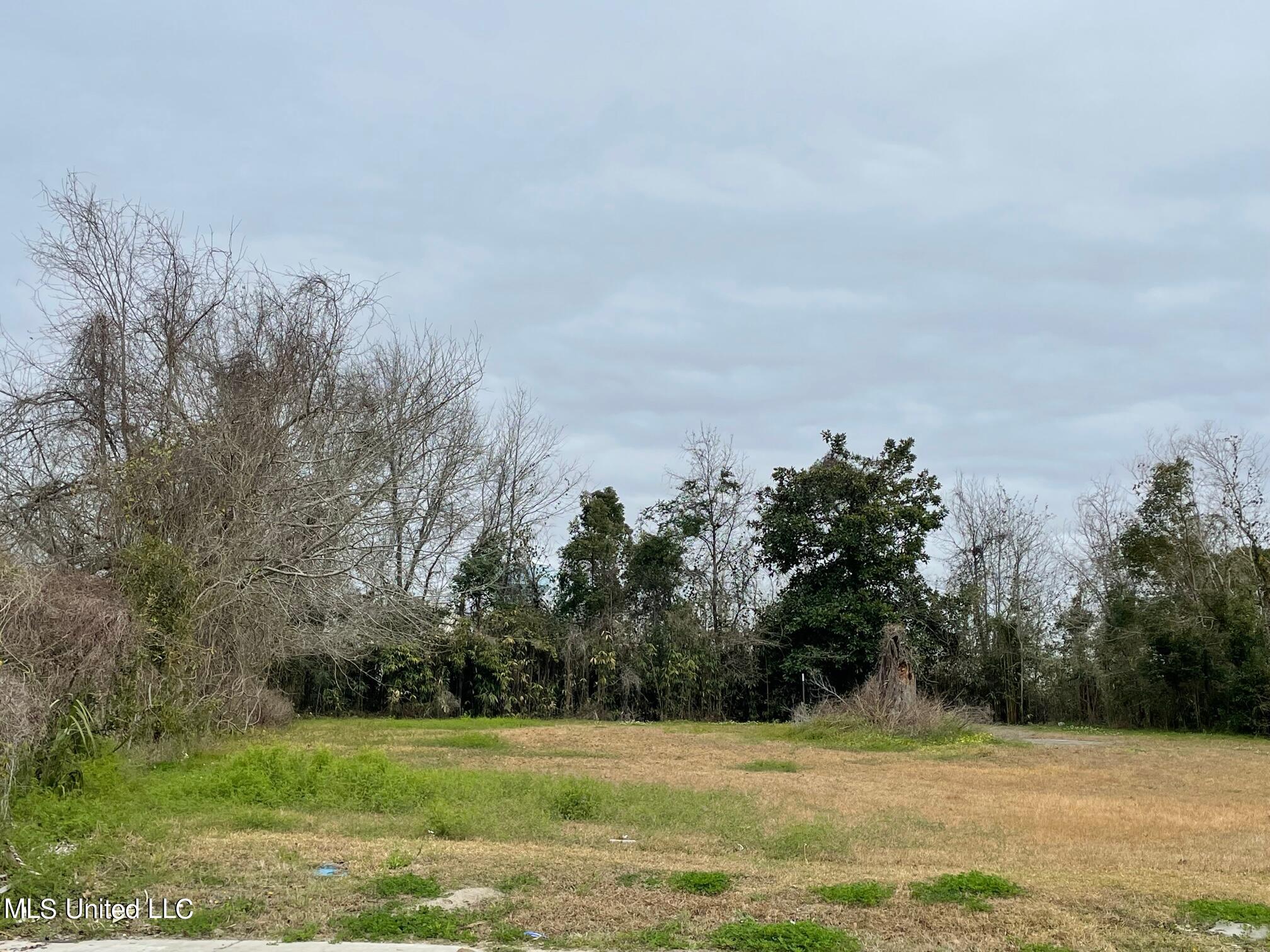 274 Crawford Street Property Photo 1