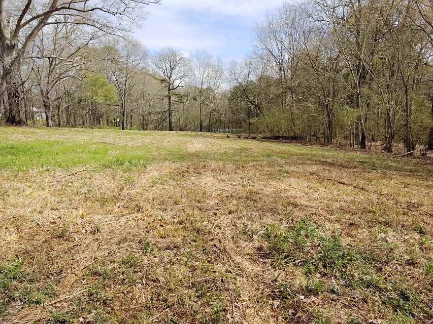3949 Highway 80e Highway Property Photo 3
