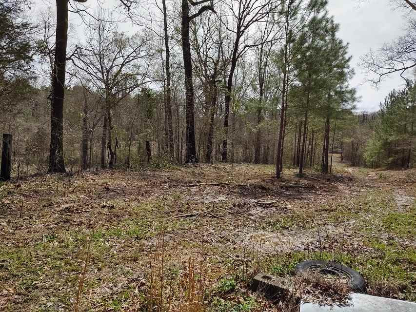 3949 Highway 80e Highway Property Photo 4
