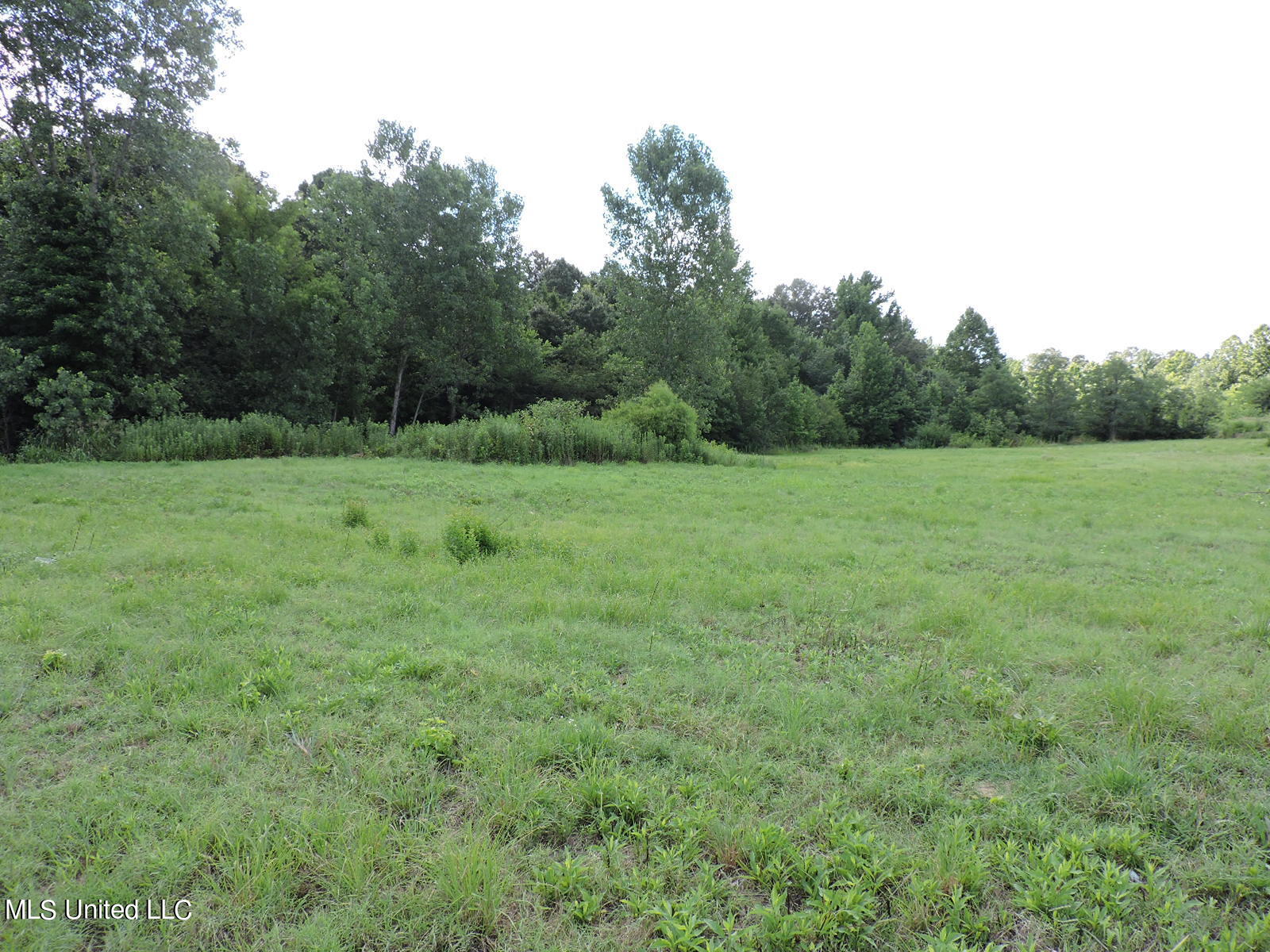 5465 Goodman Rd Property Photo 2