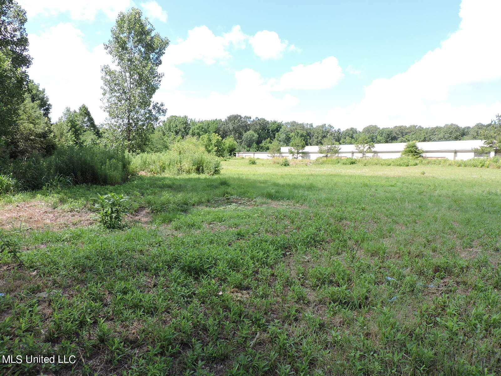5465 Goodman Rd Property Photo 3