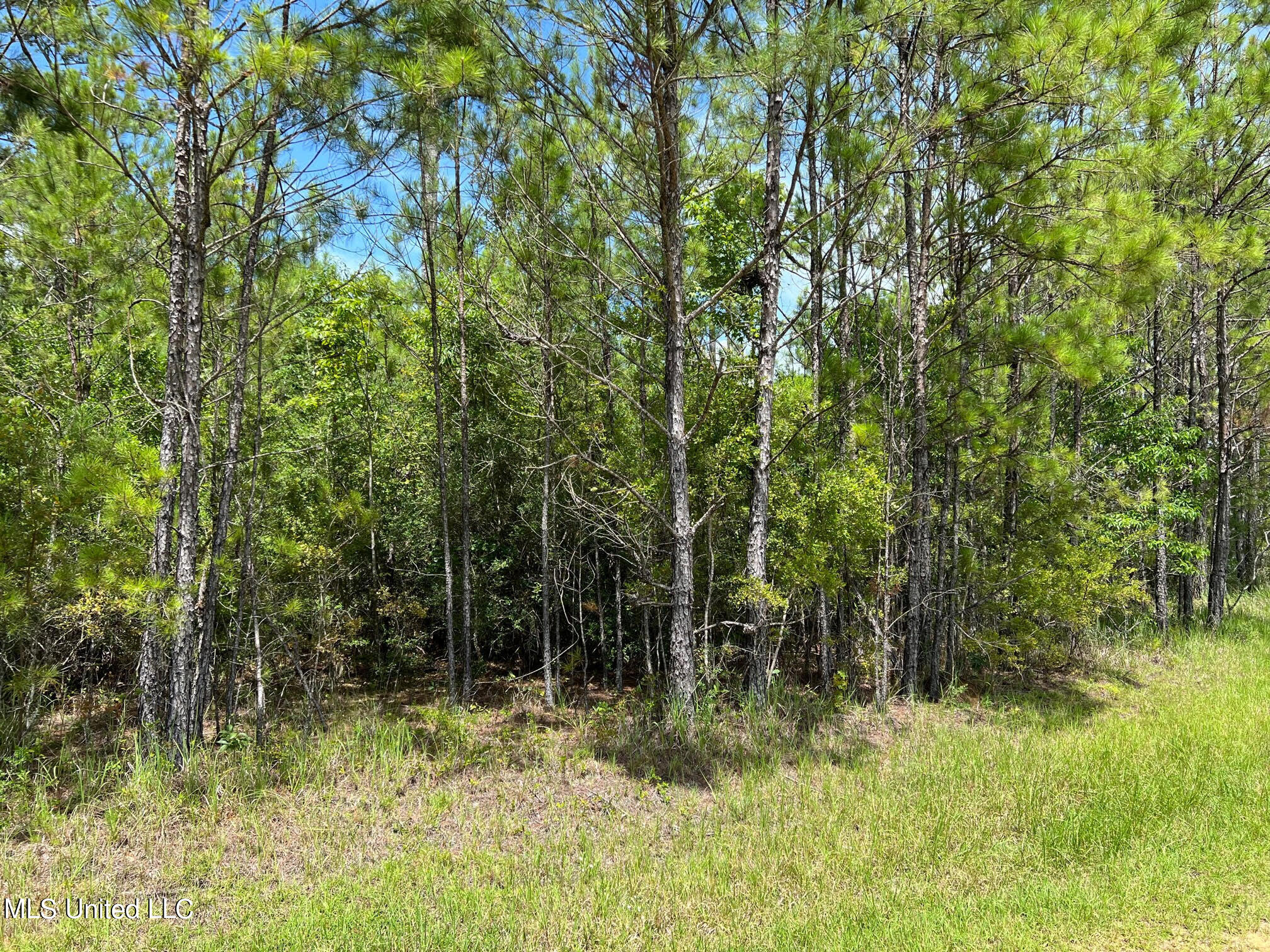 Lot 111 River Place Property Photo 1