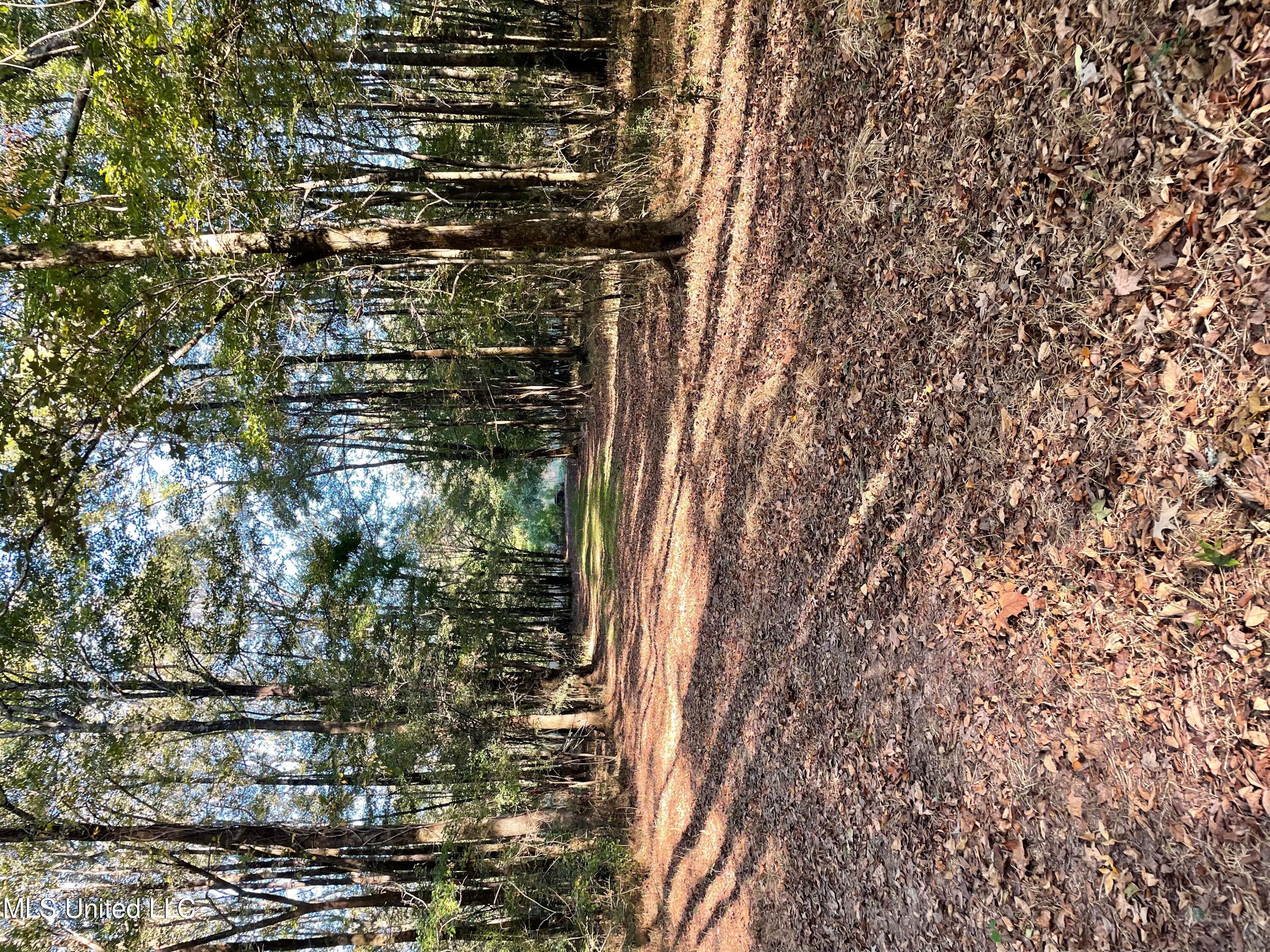 No E Lake Drive Property Photo 1
