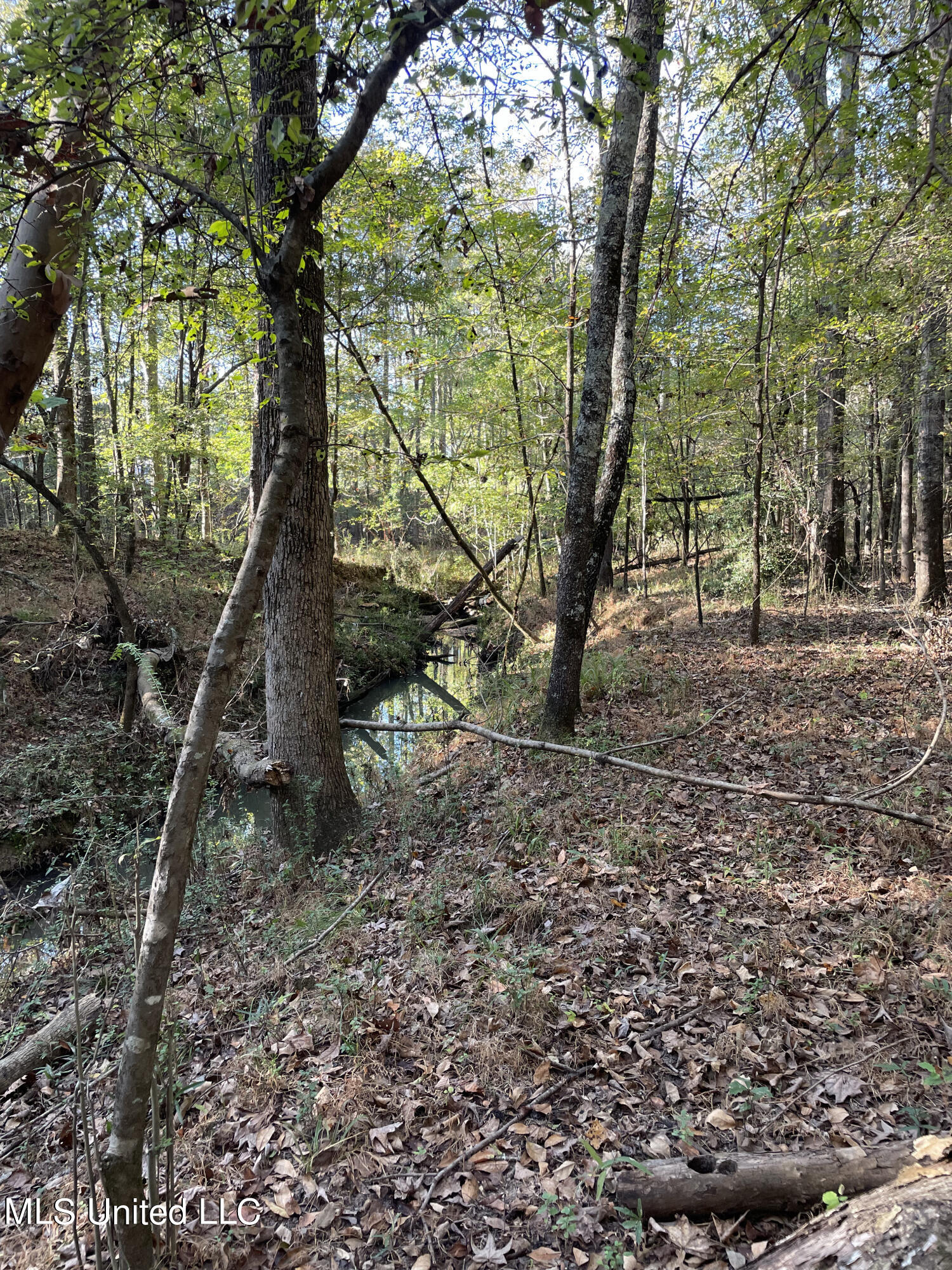 No E Lake Drive Property Photo 2
