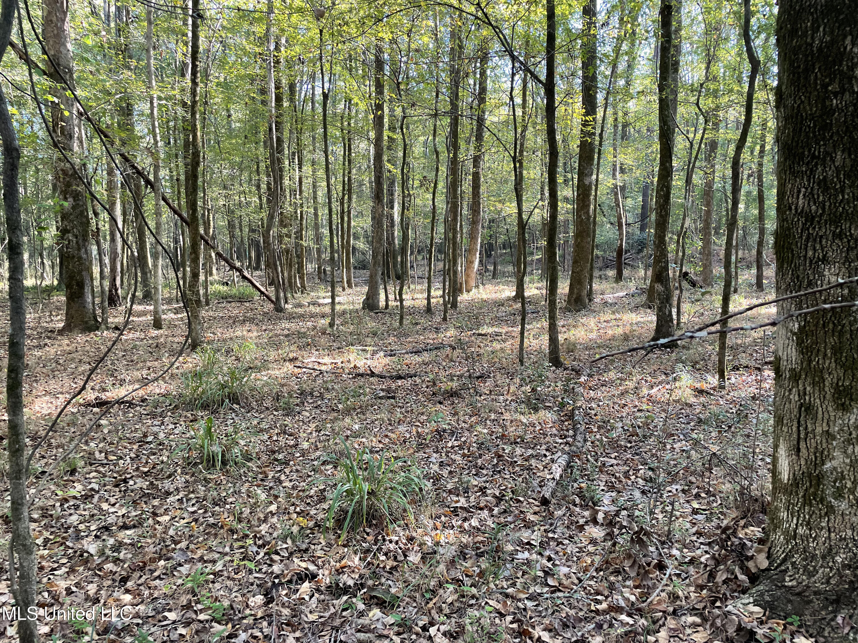 No E Lake Drive Property Photo 3