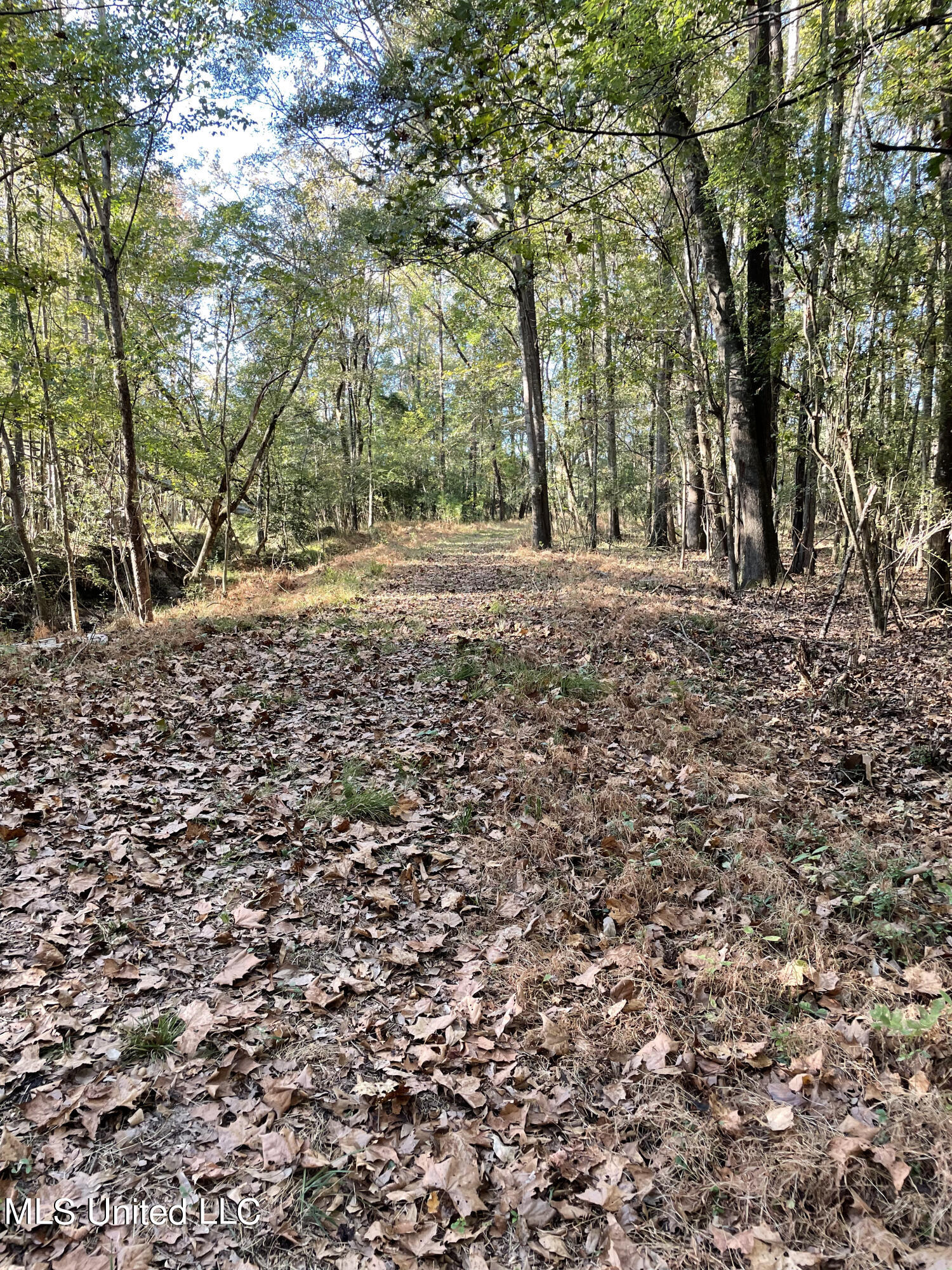 No E Lake Drive Property Photo 4