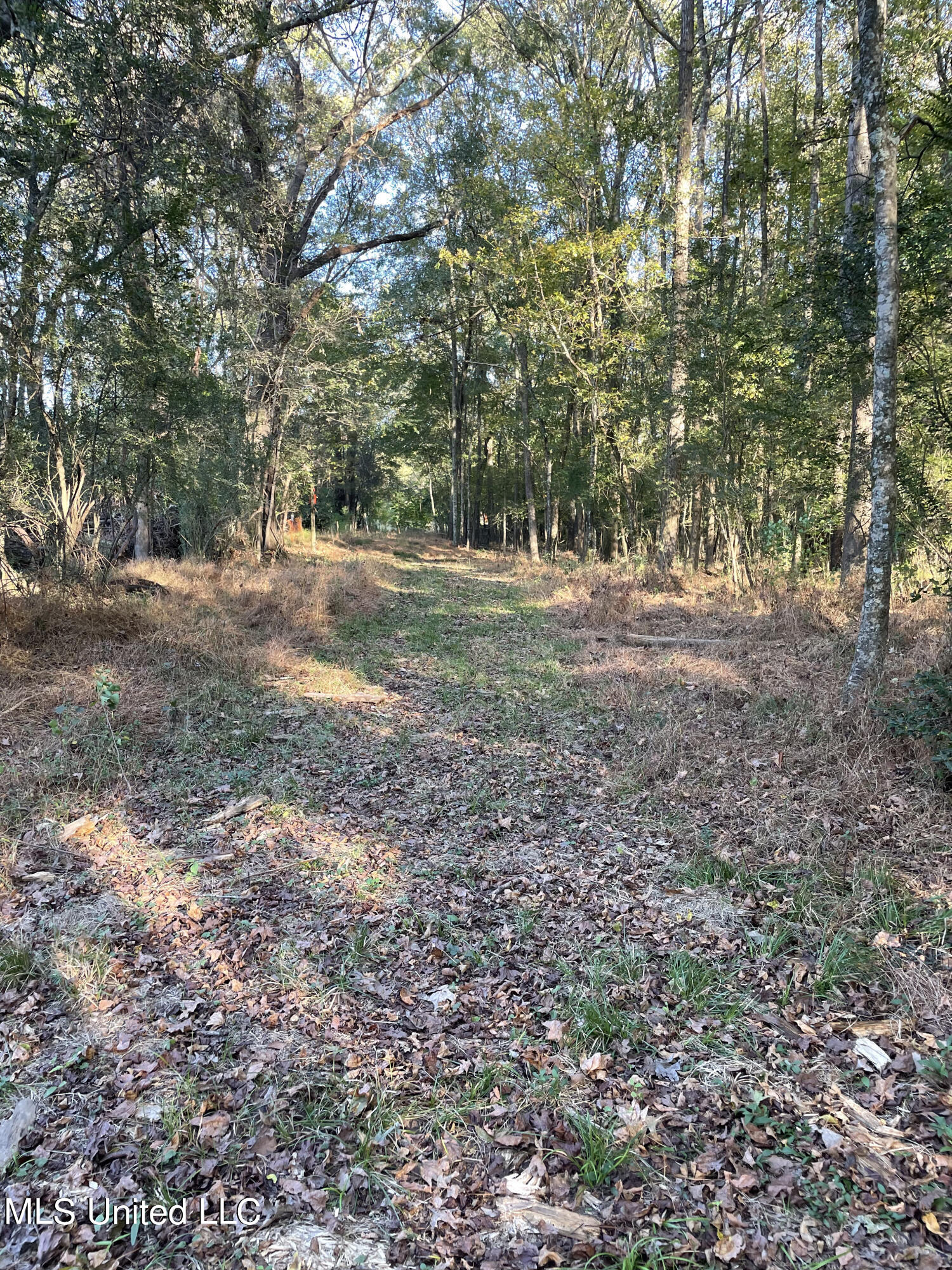 No E Lake Drive Property Photo 6