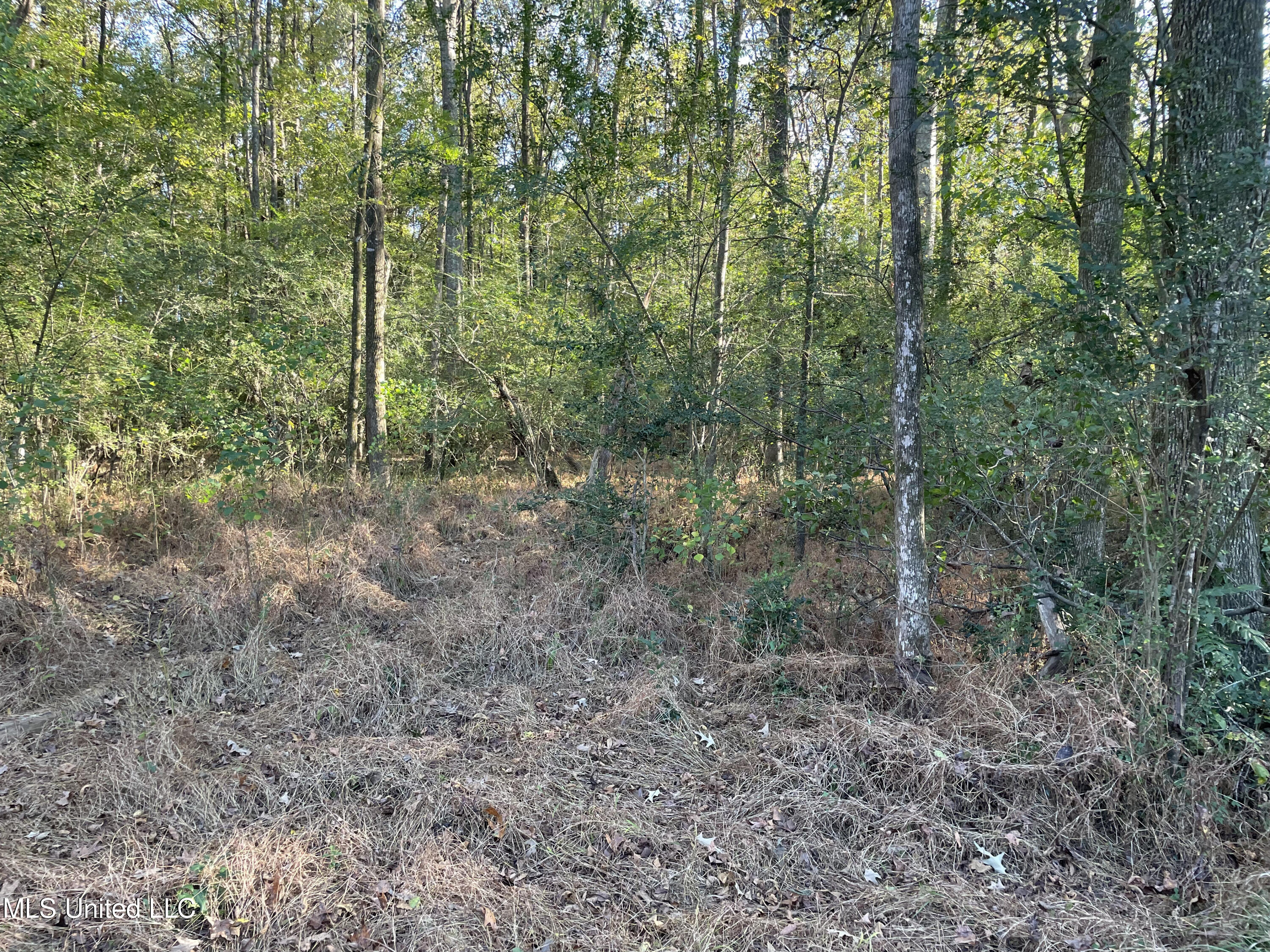 No E Lake Drive Property Photo 7