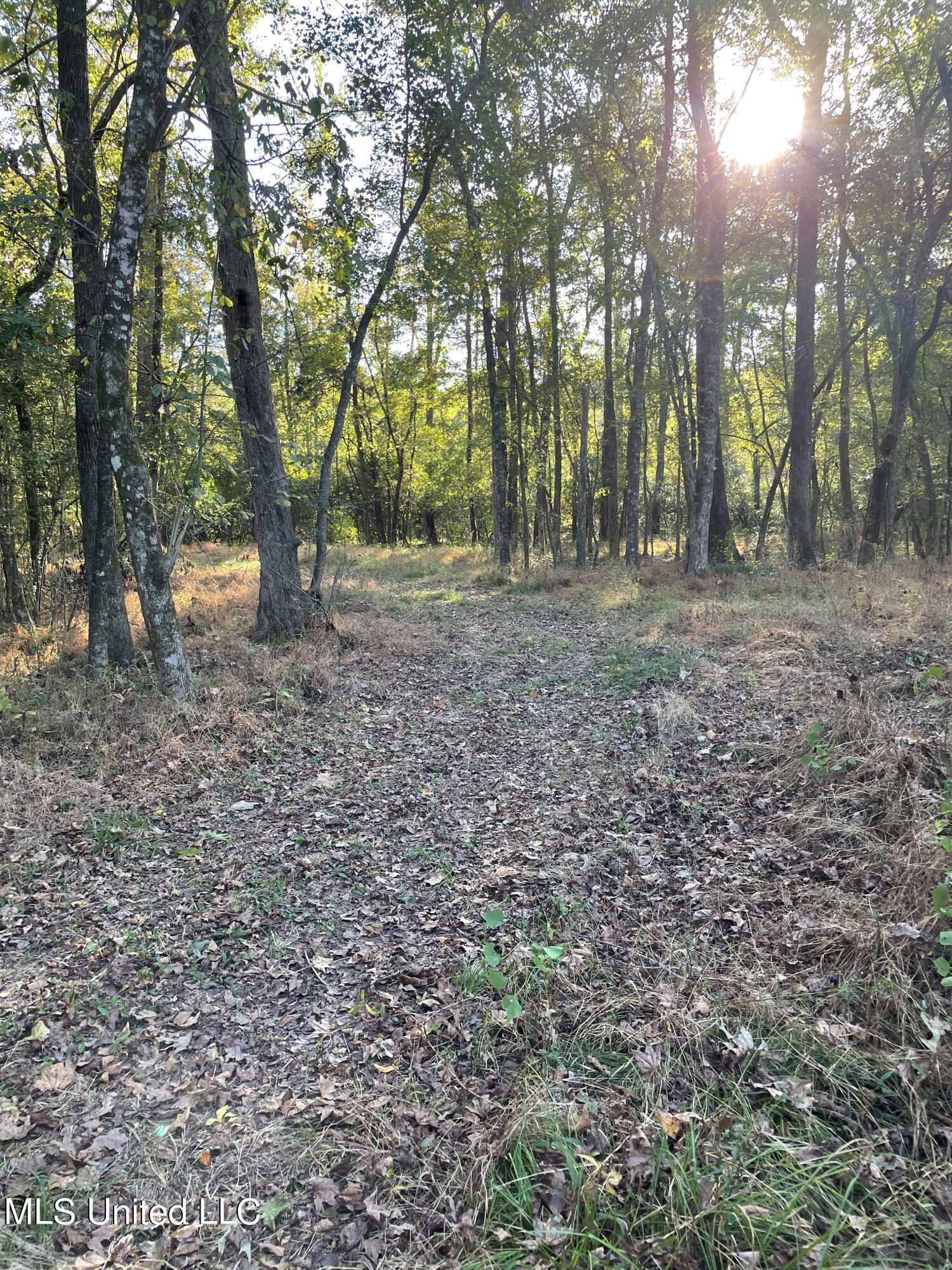 No E Lake Drive Property Photo 8