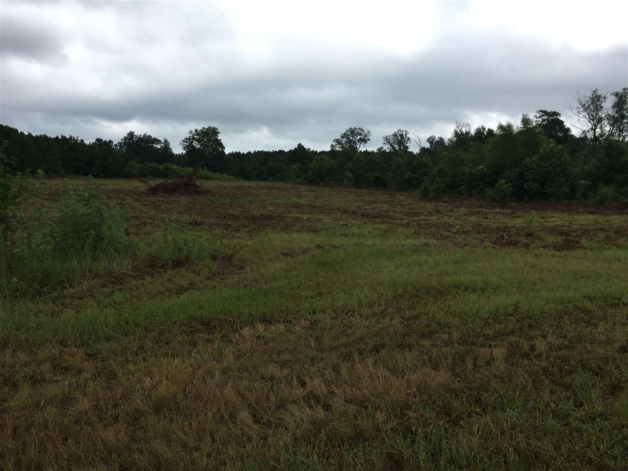 0 Highway 80 Highway Property Photo 4