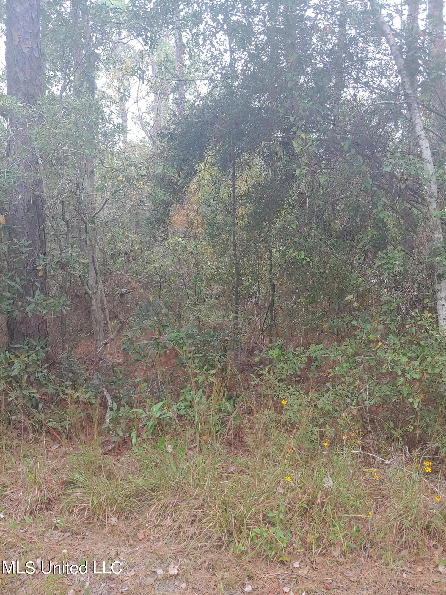 E Marion Street Property Photo 4