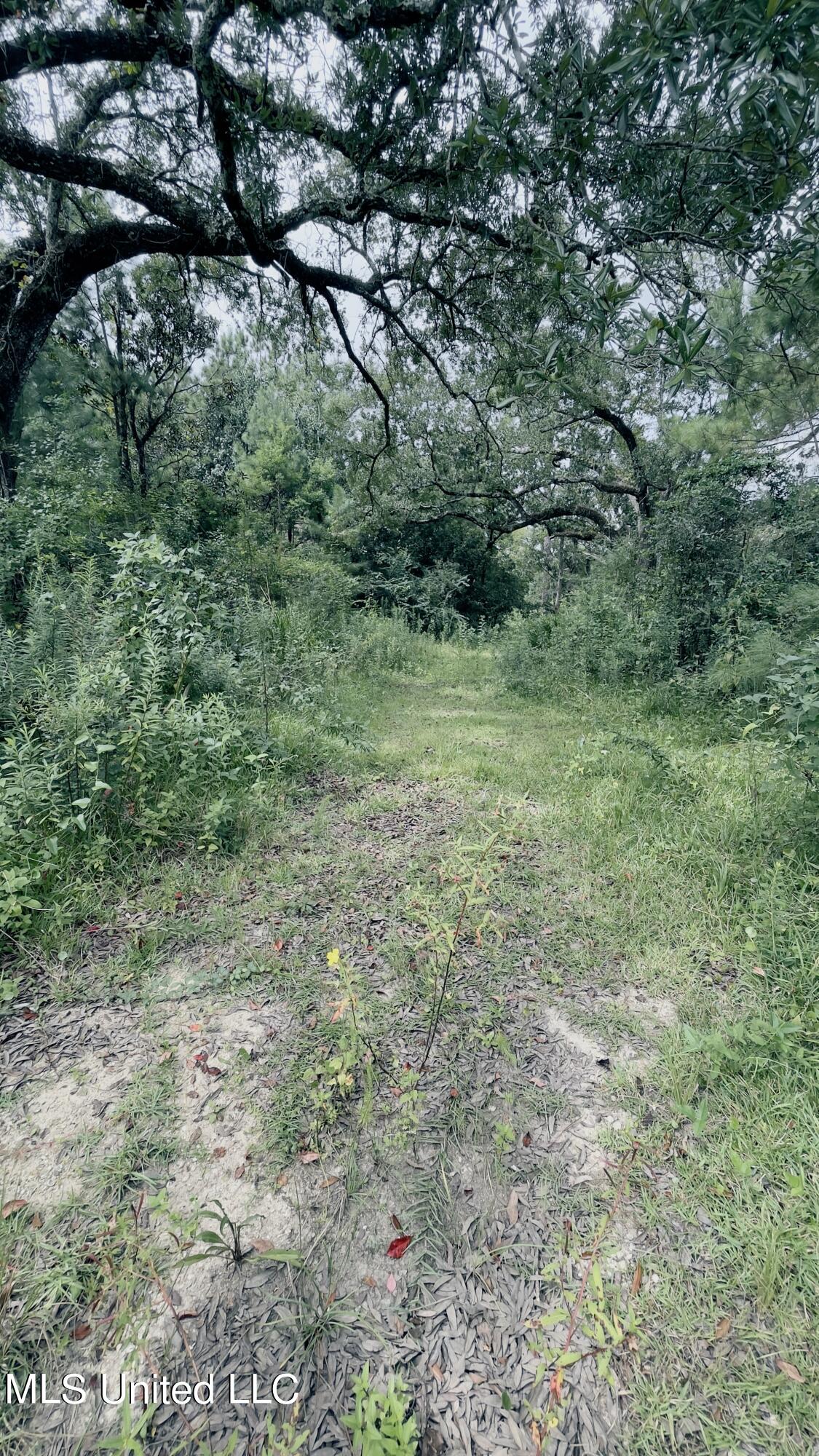 6603 Omaha Street Property Photo 1