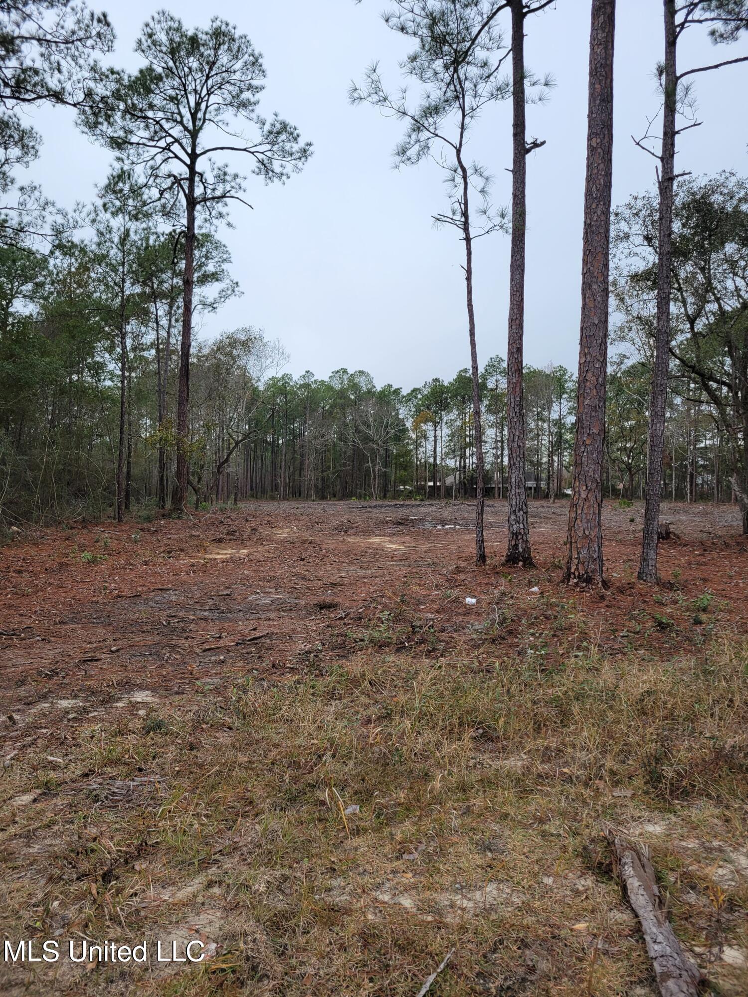 0 Belle Fontaine Drive Property Photo 7