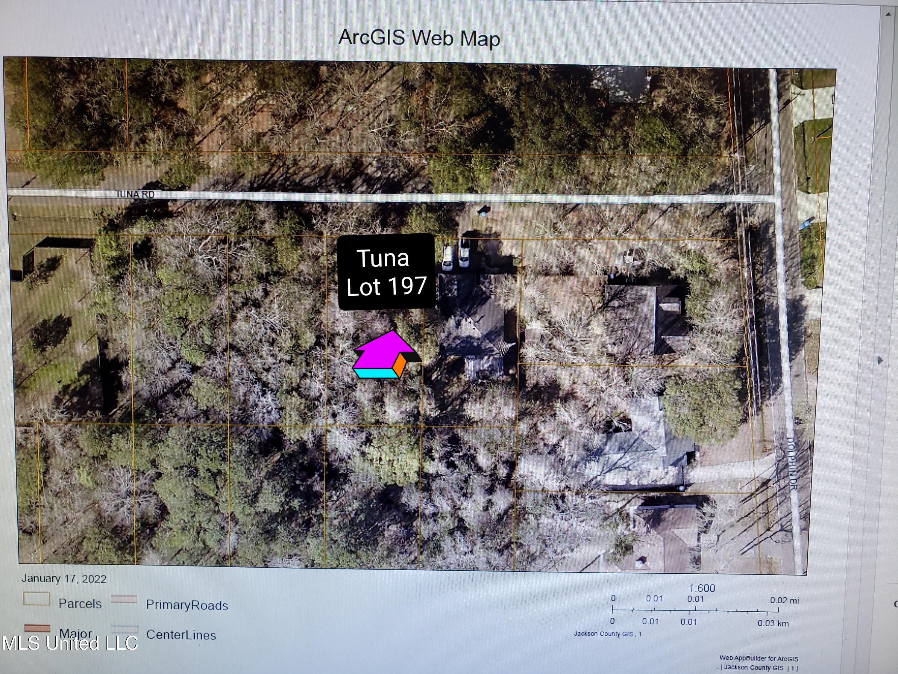 Tuna Road Property Photo 3