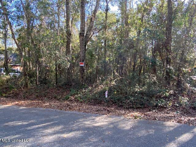 Tuna Road Property Photo 15