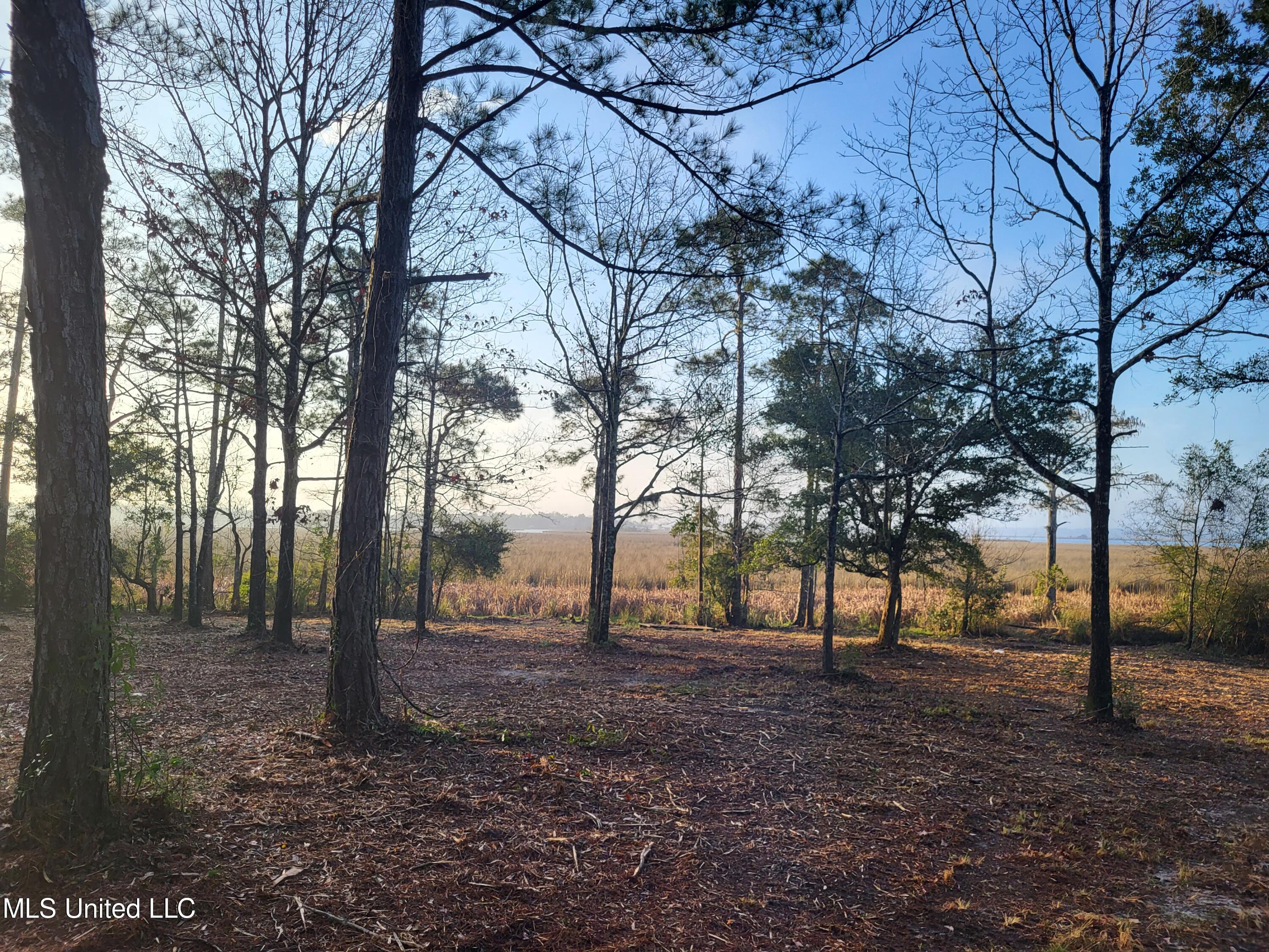 W Oaklawn Road Property Photo 1