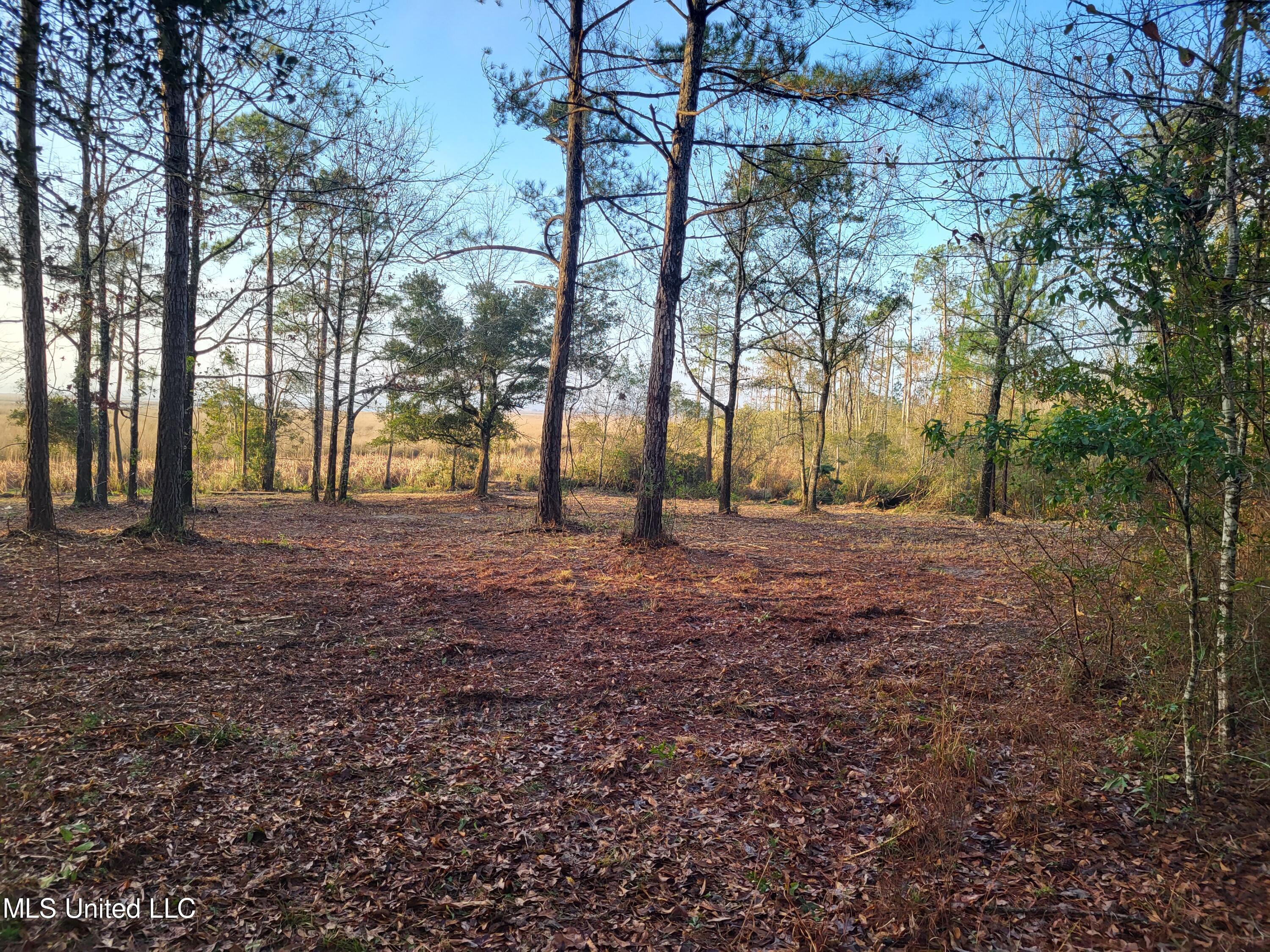 W Oaklawn Road Property Photo 3