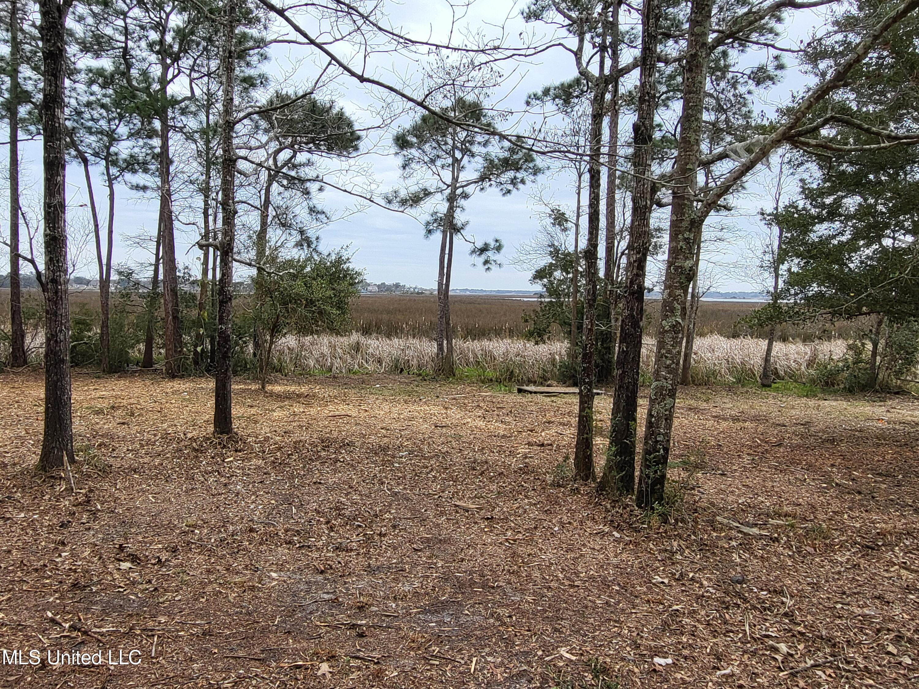 W Oaklawn Road Property Photo 4