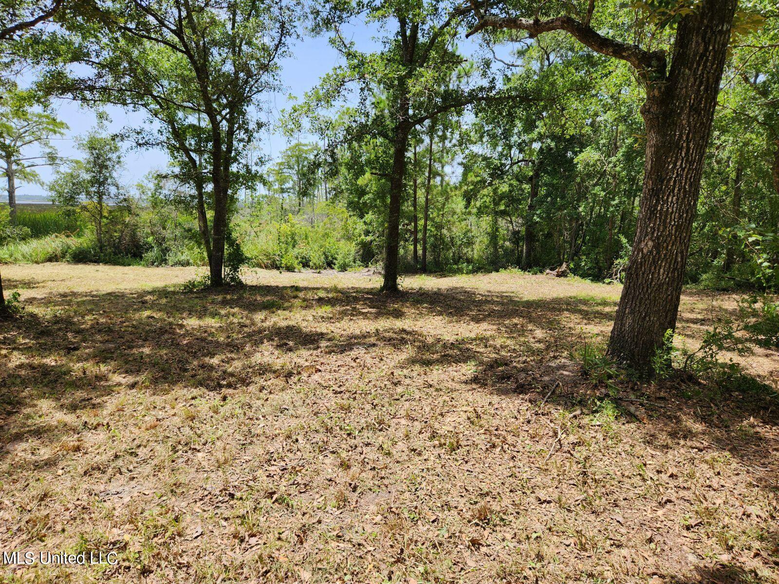 W Oaklawn Road Property Photo 5