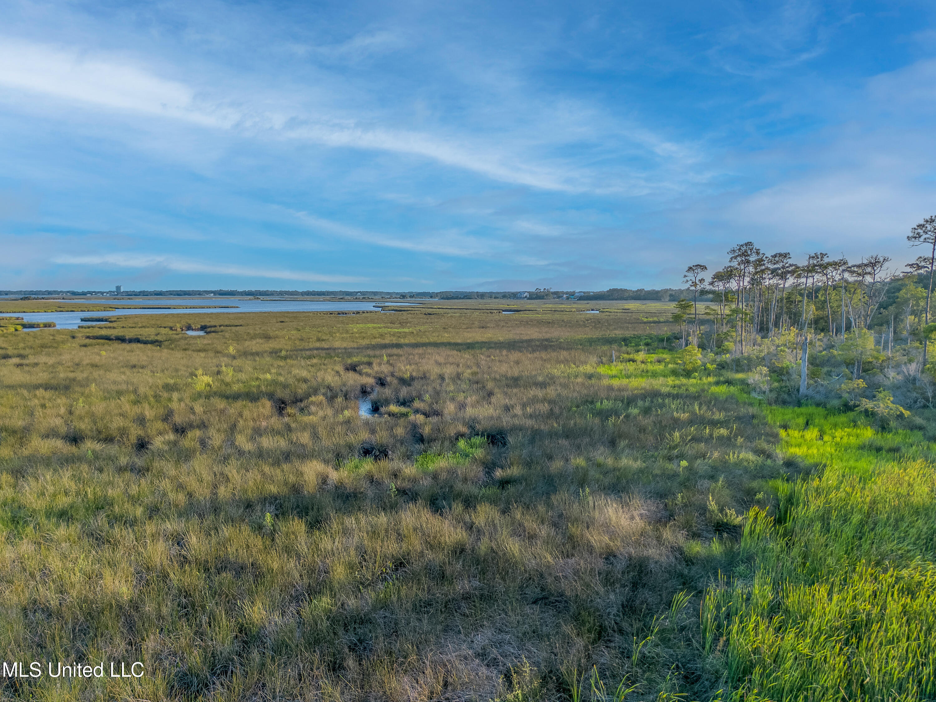 W Oaklawn Road Property Photo 8