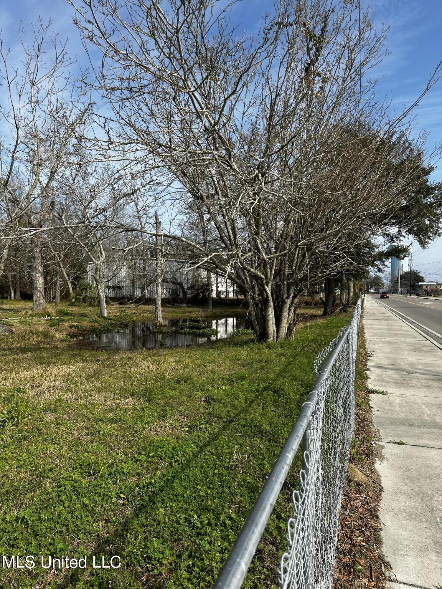 306 Crawford Street Property Photo 5