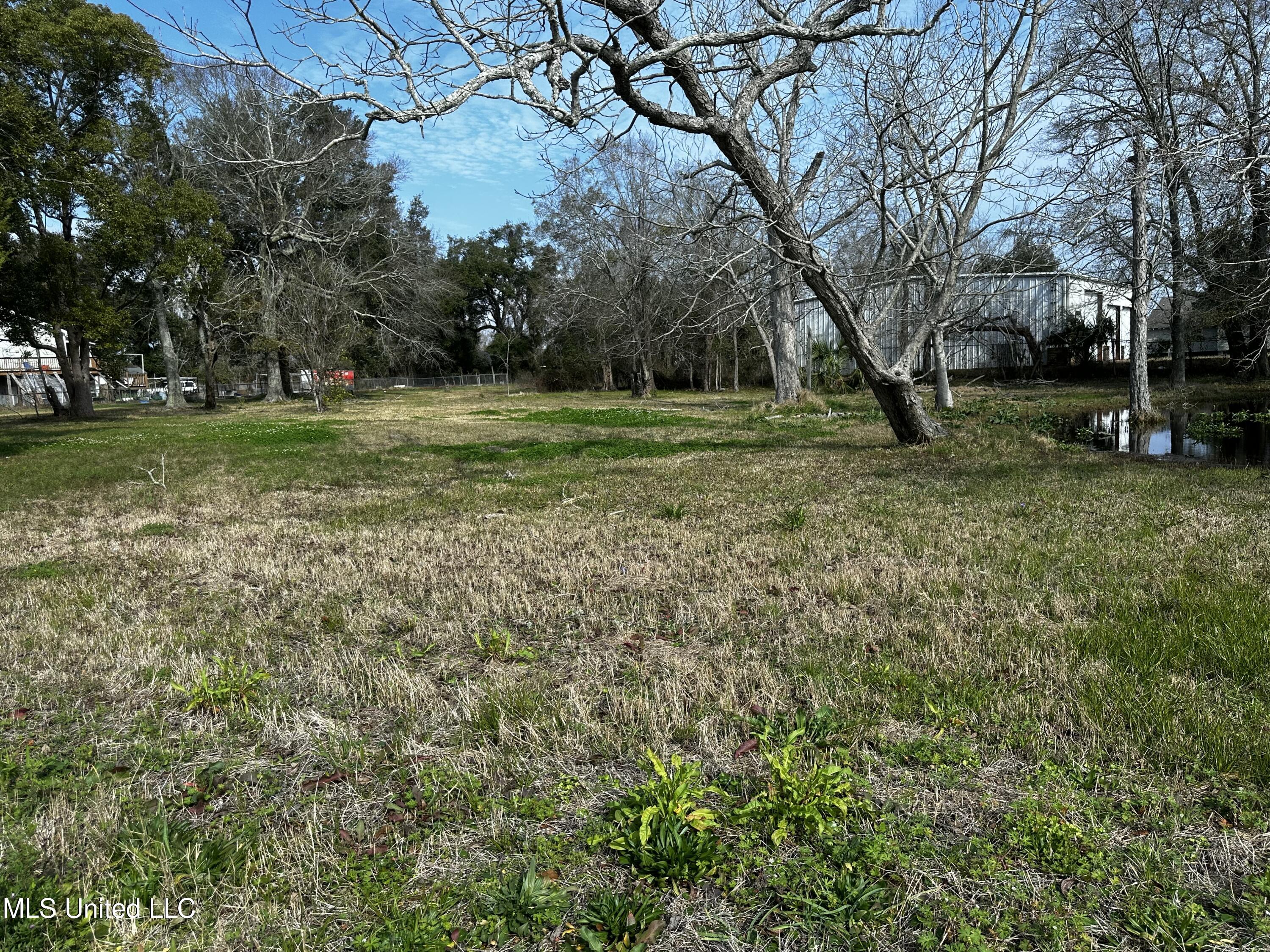306 Crawford Street Property Photo 9