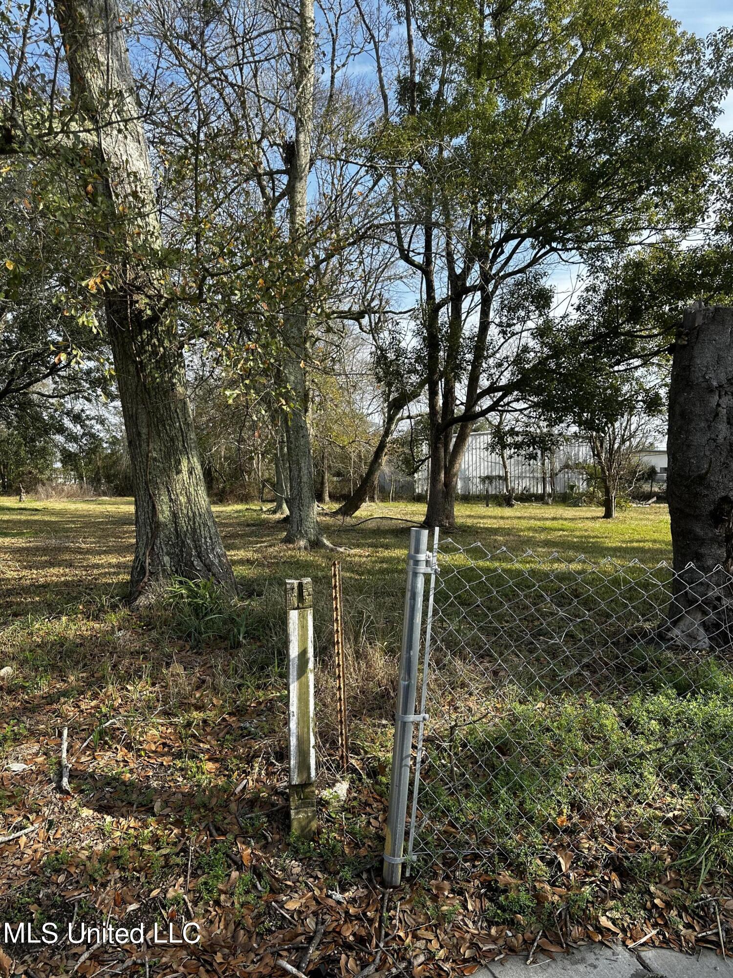 306 Crawford Street Property Photo 11