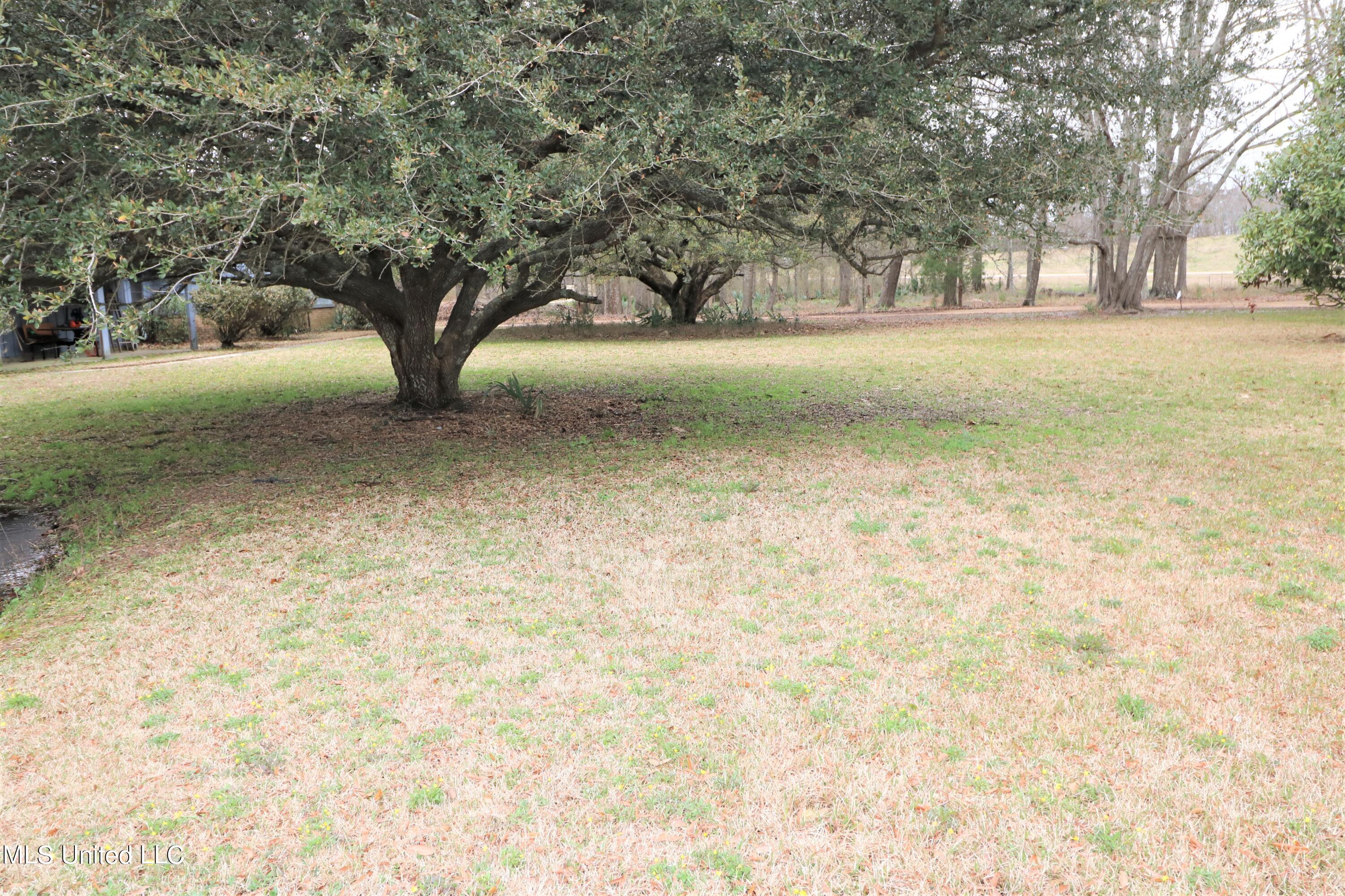 2225 Highway 471 Property Photo 7