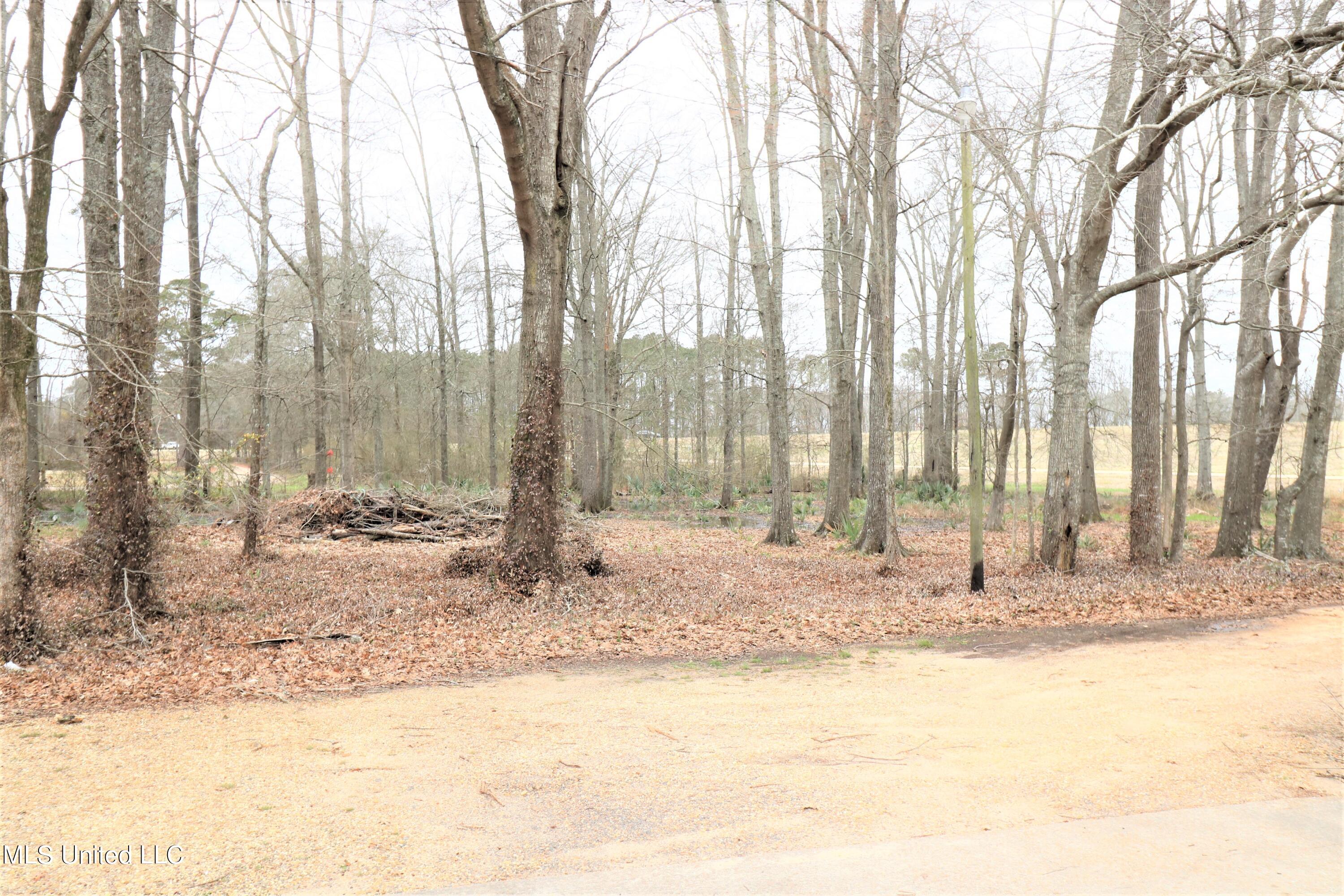 2225 Highway 471 Property Photo 10