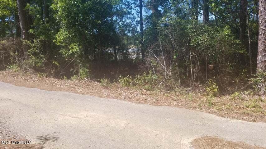 0 Highway 49 Property Photo 5