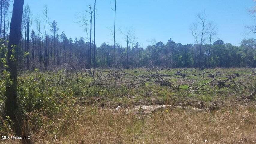 0 Highway 49 Property Photo 10